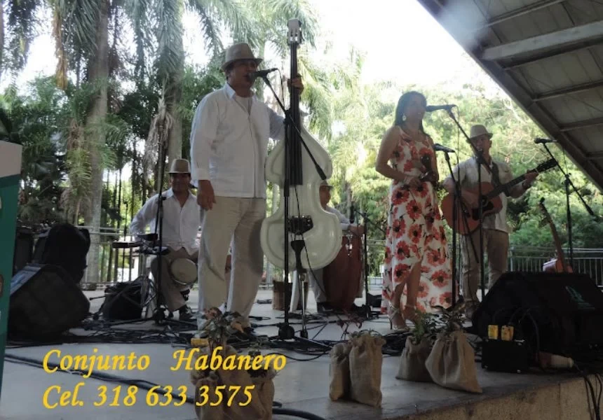 Grupo Musical P&C